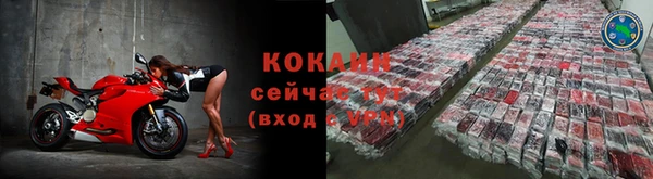 дживик Карпинск