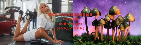 первитин Каменногорск