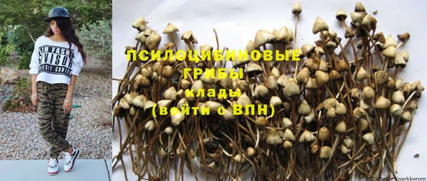 твердый Каменск-Шахтинский