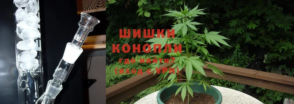 дживик Карпинск